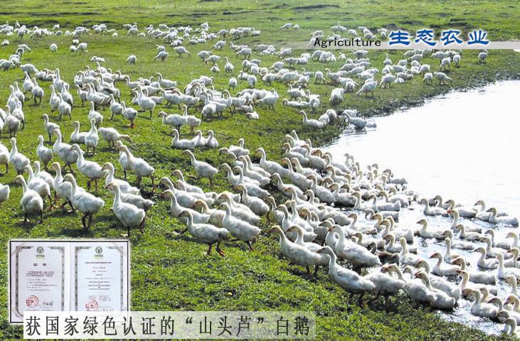 綏化望奎縣農(nóng)牧場配套恒壓給水設(shè)備+生活水箱